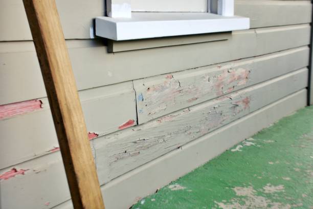 Best Engineered Wood Siding  in Tillmans Corner, AL
